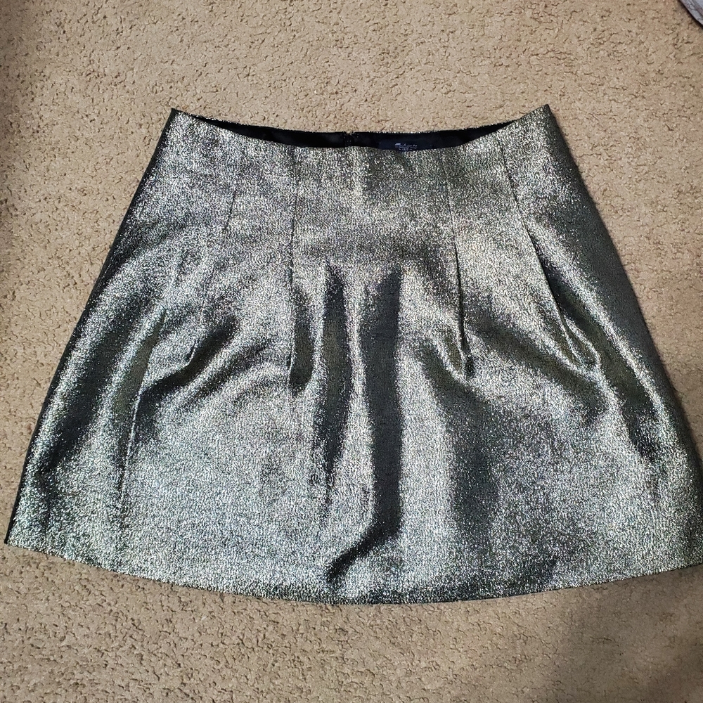 Sparkly Madewell Skirt